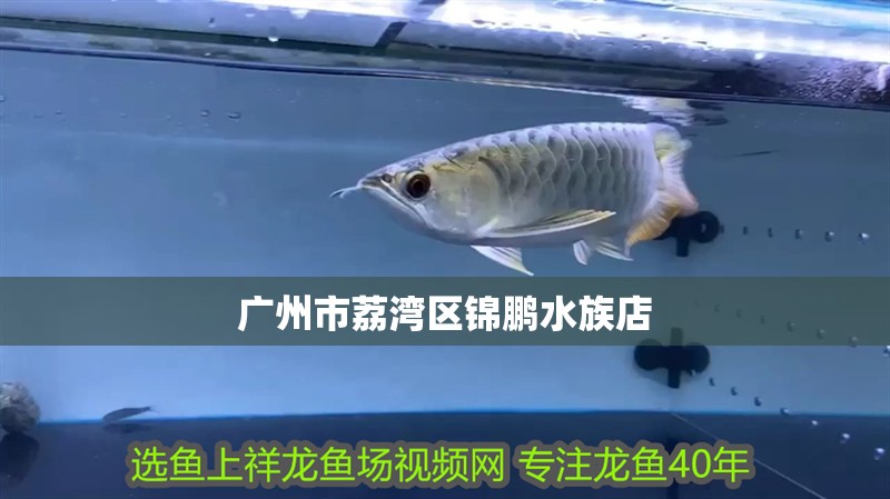 廣州市荔灣區錦鵬水族店