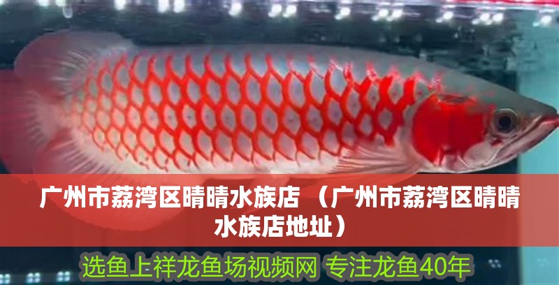 廣州市荔灣區晴晴水族店 （廣州市荔灣區晴晴水族店地址）