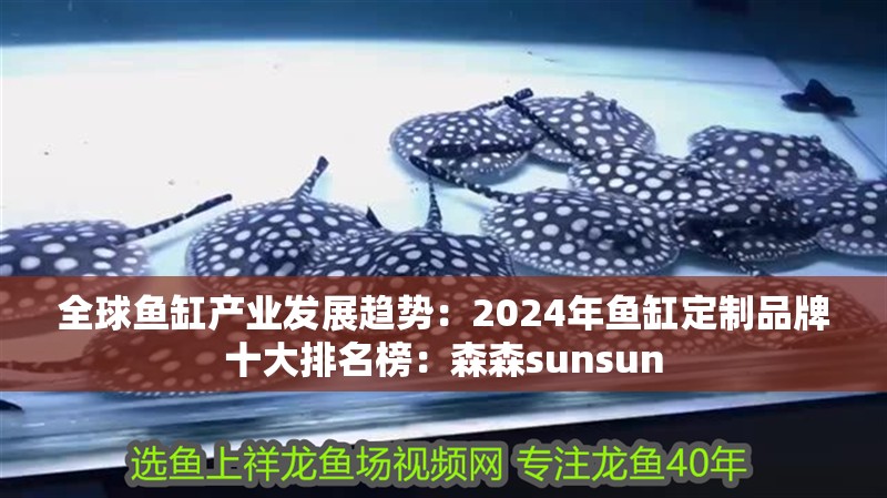 全球魚缸產業發展趨勢：2024年魚缸定制品牌十大排名榜：森森sunsun