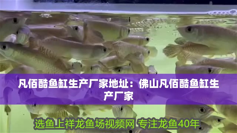 凡佰酷魚缸生產廠家地址：佛山凡佰酷魚缸生產廠家 凡佰酷魚缸生產廠家地址：佛山凡佰酷魚缸生產廠家 魚缸百科