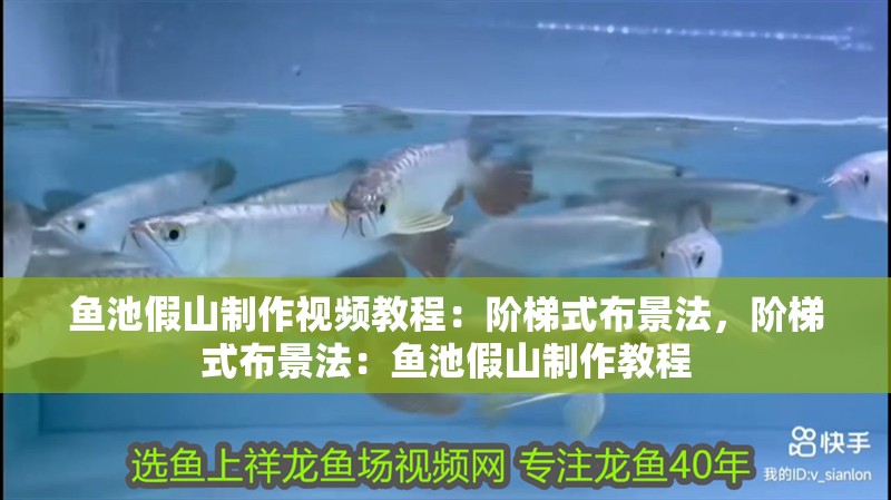 魚池假山制作視頻教程：階梯式布景法，階梯式布景法：魚池假山制作教程