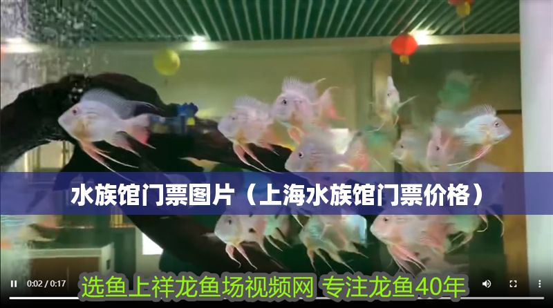 水族館門票圖片（上海水族館門票價格）