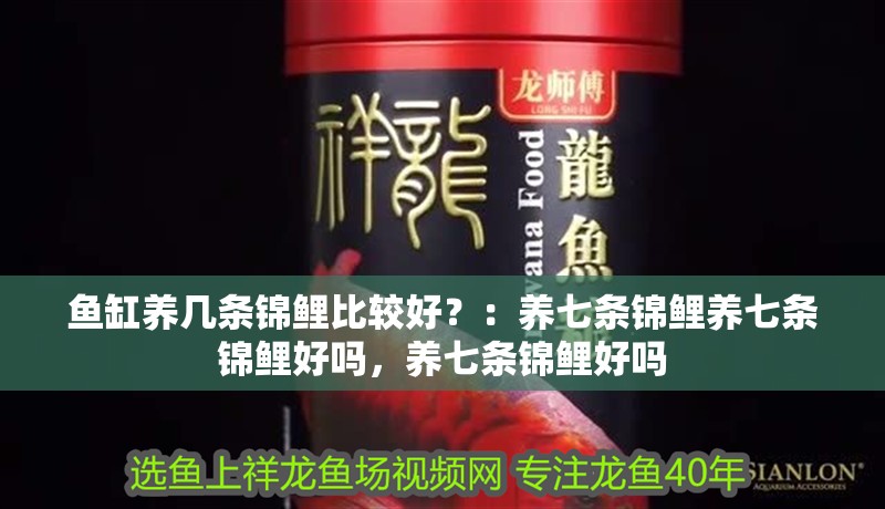 魚缸養幾條錦鯉比較好？：養七條錦鯉養七條錦鯉好嗎，養七條錦鯉好嗎