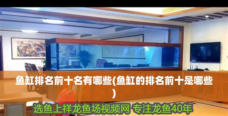 魚缸排名前十名有哪些(魚缸的排名前十是哪些)