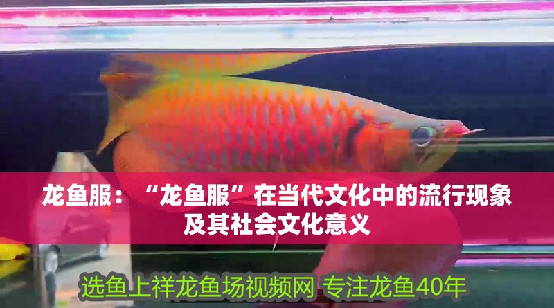 龍魚服：“龍魚服”在當代文化中的流行現象及其社會文化意義