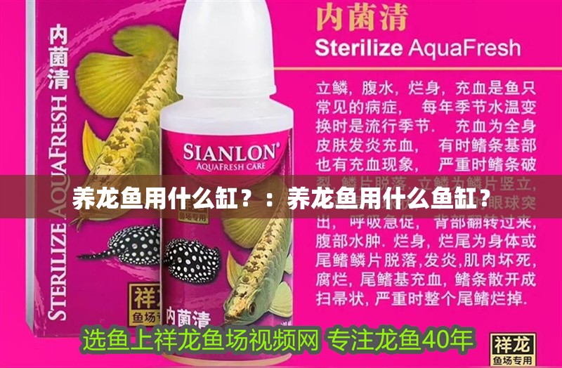 養龍魚用什么缸？：養龍魚用什么魚缸？