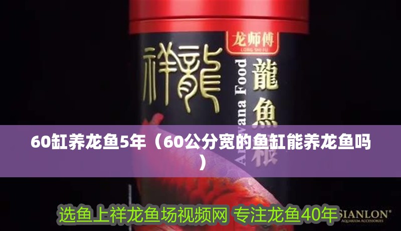 60缸養龍魚5年（60公分寬的魚缸能養龍魚嗎）