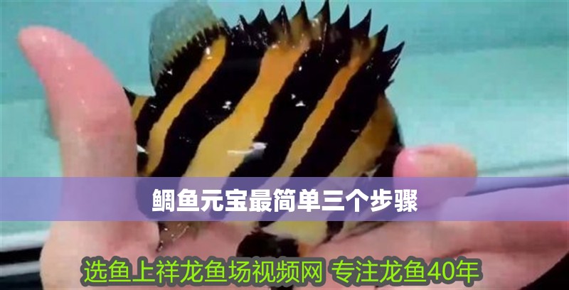 鯛魚元寶最簡單三個步驟