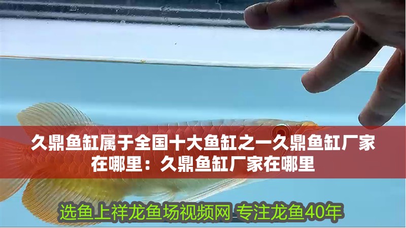 久鼎魚缸屬于全國十大魚缸之一久鼎魚缸廠家在哪里：久鼎魚缸廠家在哪里