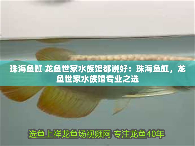 珠海魚缸 龍魚世家水族館都說好：珠海魚缸，龍魚世家水族館專業之選
