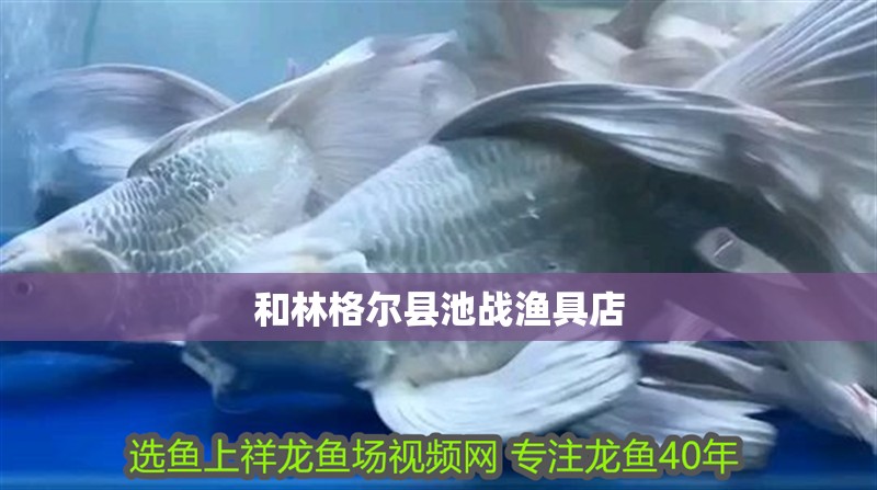 和林格爾縣池戰漁具店 和林格爾縣池戰漁具店 全國水族館企業名錄