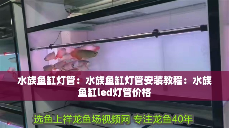 水族魚缸燈管：水族魚缸燈管安裝教程：水族魚缸led燈管價格