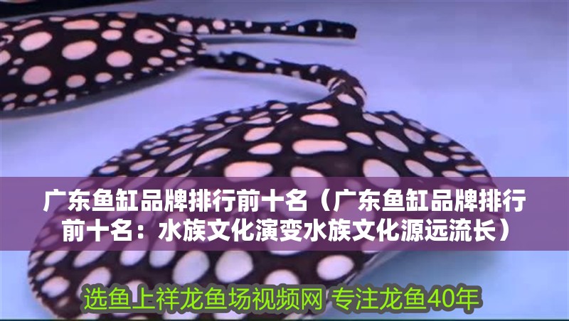 廣東魚缸品牌排行前十名（廣東魚缸品牌排行前十名：水族文化演變水族文化源遠流長） 廣東魚缸品牌排行前十名（廣東魚缸品牌排行前十名：水族文化演變水族文化源遠流長） 魚缸百科