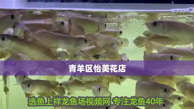 青羊區怡美花店 青羊區怡美花店 全國水族館企業名錄