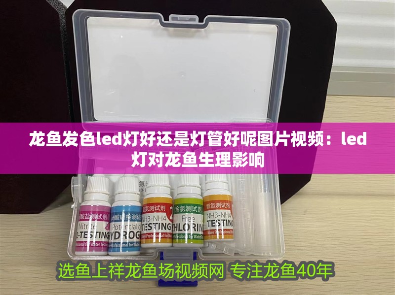 龍魚發(fā)色led燈好還是燈管好呢圖片視頻：led燈對龍魚生理影響