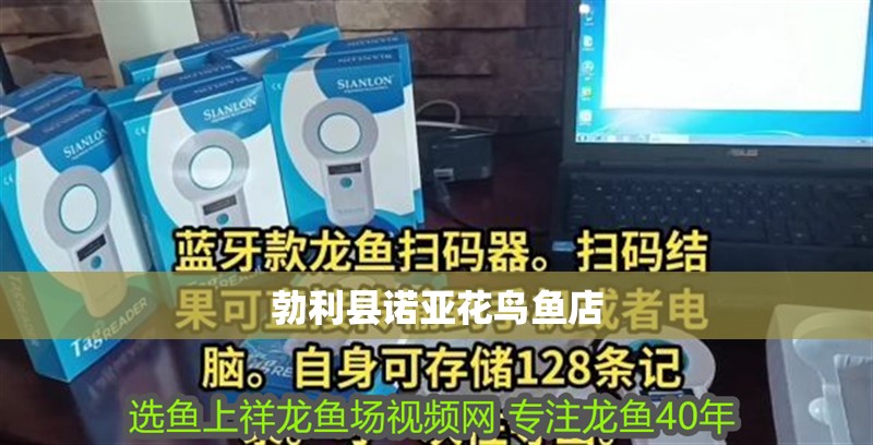 勃利縣諾亞花鳥魚店