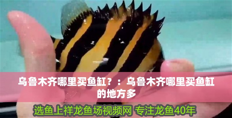 烏魯木齊哪里買魚缸？：烏魯木齊哪里買魚缸的地方多 烏魯木齊哪里買魚缸？：烏魯木齊哪里買魚缸的地方多 魚缸百科