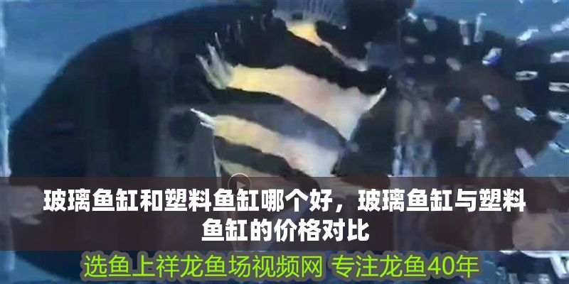 玻璃魚缸和塑料魚缸哪個好，玻璃魚缸與塑料魚缸的價格對比