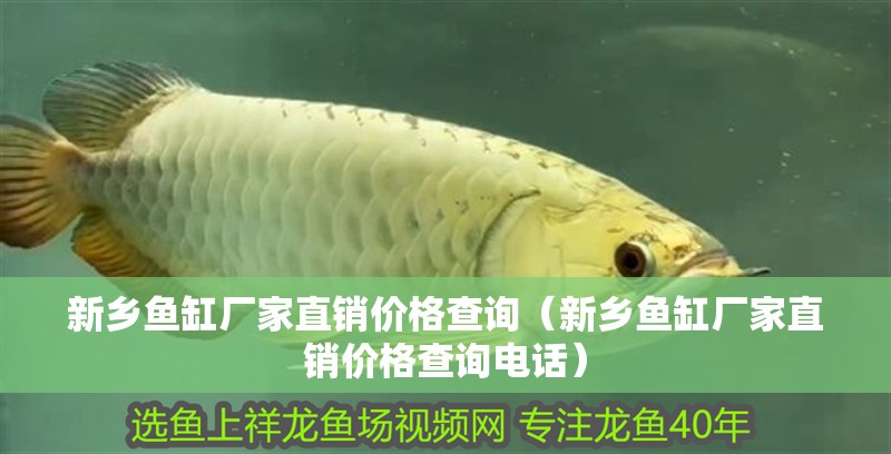 給大魚缸換水的作文:體驗(yàn)給大魚缸換水的樂(lè)趣:體驗(yàn)給大魚缸換水:給大魚缸換水的作文 新鄉(xiāng)魚缸廠家直銷價(jià)格查詢(新鄉(xiāng)魚缸廠家直銷價(jià)格查詢電話) 銀龍魚百科 新鄉(xiāng)魚缸廠家直銷價(jià)格查詢(新鄉(xiāng)魚缸廠家直銷價(jià)格查詢電話) 新鄉(xiāng)魚缸廠家直銷價(jià)格查詢(新鄉(xiāng)魚缸廠家直銷價(jià)格查詢電話) 銀龍魚百科