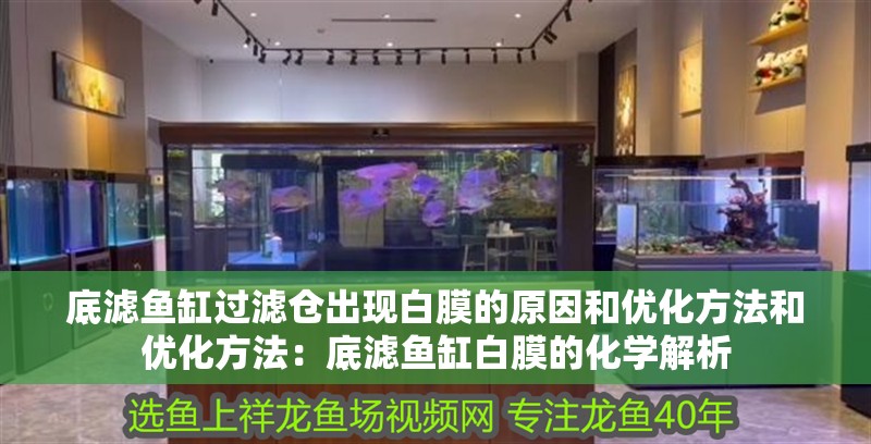 底濾魚缸過濾倉出現白膜的原因和優化方法和優化方法：底濾魚缸白膜的化學解析 底濾魚缸過濾倉出現白膜的原因和優化方法和優化方法：底濾魚缸白膜的化學解析 魚缸百科