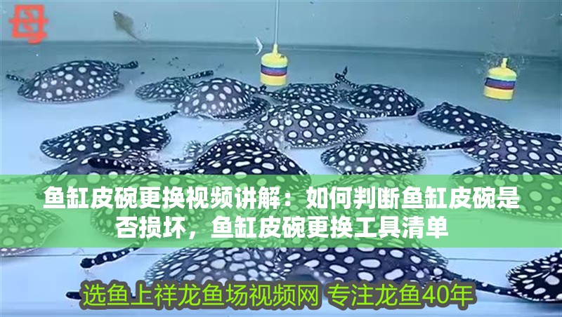 魚缸皮碗更換視頻講解：如何判斷魚缸皮碗是否損壞，魚缸皮碗更換工具清單