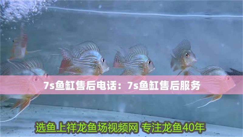 7s魚(yú)缸售后電話(huà):7s魚(yú)缸售后服務(wù) 魚(yú)缸百科 第2張 7s魚(yú)缸售后電話(huà):7s魚(yú)缸售后服務(wù) 7s魚(yú)缸售后電話(huà):7s魚(yú)缸售后服務(wù) 魚(yú)缸百科 第2張