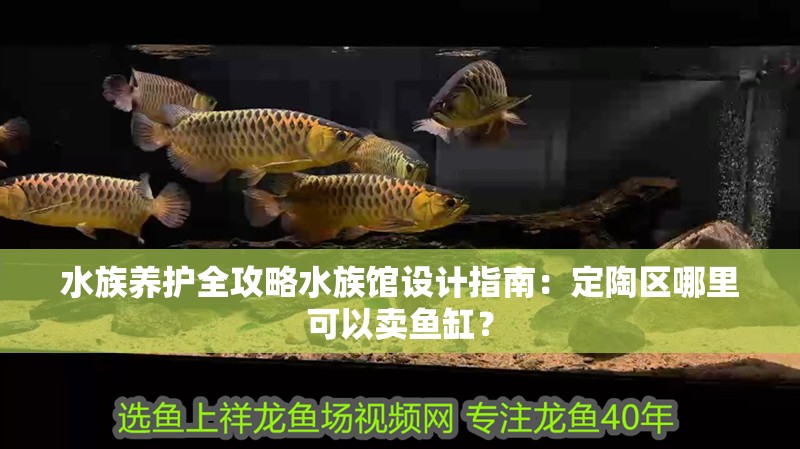 水族養(yǎng)護(hù)全攻略水族館設(shè)計(jì)指南：定陶區(qū)哪里可以賣(mài)魚(yú)缸？