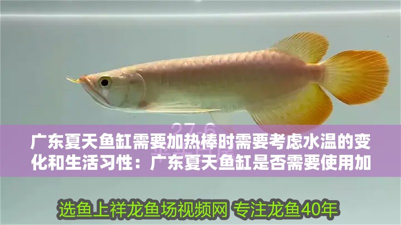 廣東夏天魚缸需要加熱棒時需要考慮水溫的變化和生活習性：廣東夏天魚缸是否需要使用加熱棒 廣東夏天魚缸需要加熱棒時需要考慮水溫的變化和生活習性：廣東夏天魚缸是否需要使用加熱棒 魚缸百科