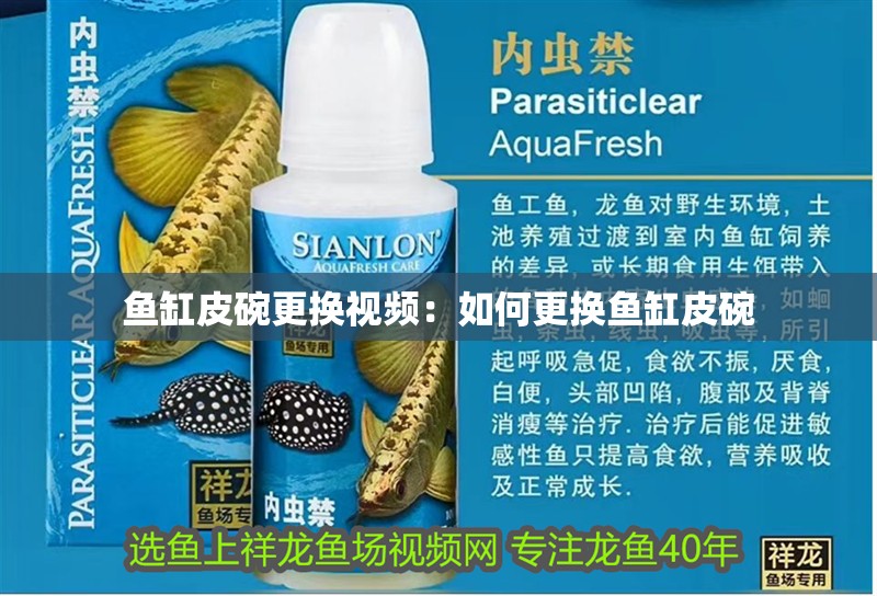魚缸皮碗更換視頻：如何更換魚缸皮碗