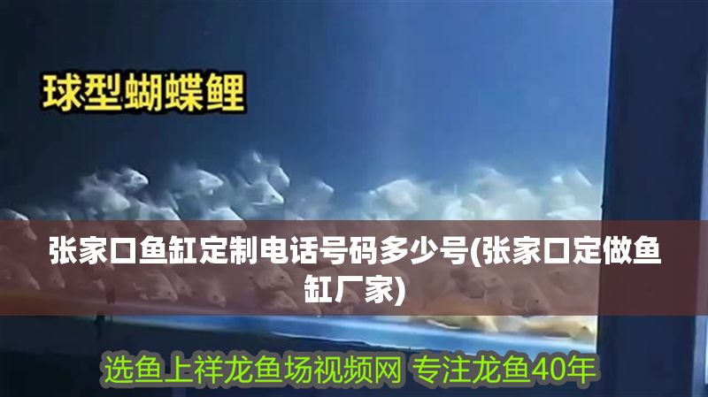 張家口魚缸定制電話號碼多少號(張家口定做魚缸廠家)