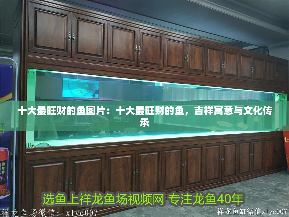 十大最旺財的魚圖片：十大最旺財的魚，吉祥寓意與文化傳承