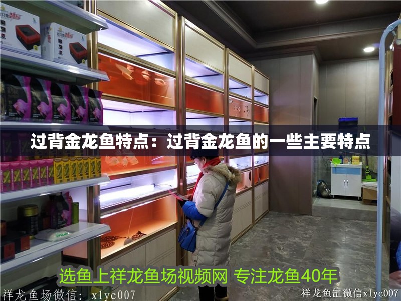 過背金龍魚特點：過背金龍魚的一些主要特點