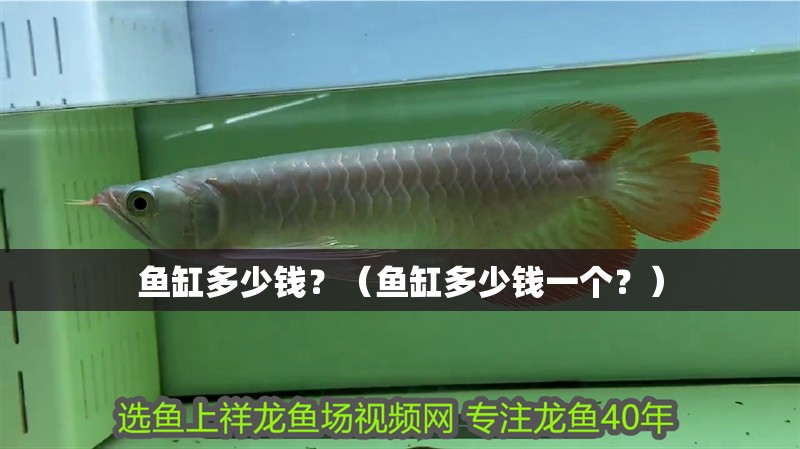 魚缸多少錢？（魚缸多少錢一個？）