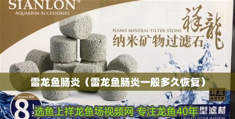 雷龍魚腸炎（雷龍魚腸炎一般多久恢復） 雷龍魚腸炎（雷龍魚腸炎一般多久恢復） 銀龍魚百科