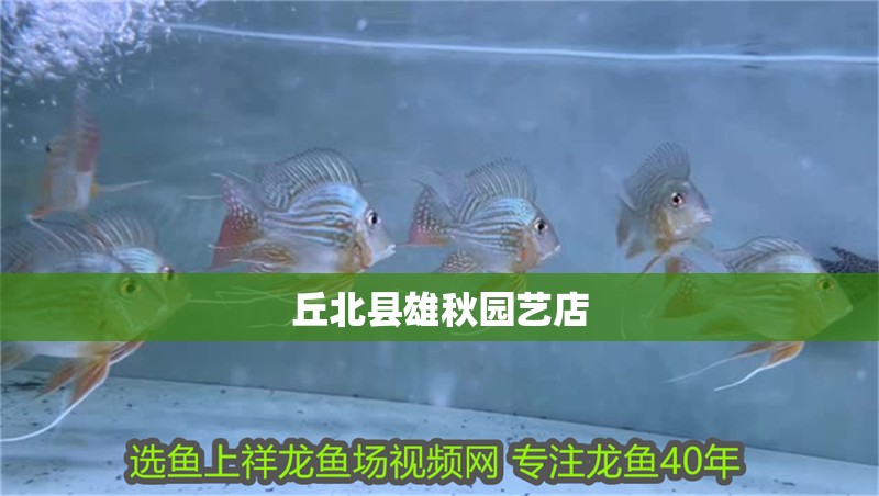 丘北縣雄秋園藝店