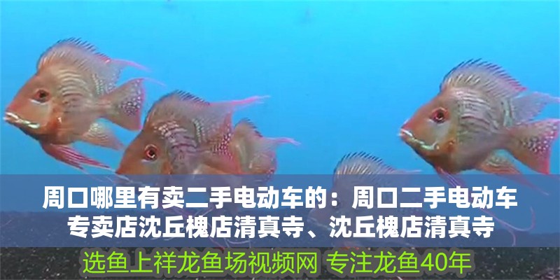 周口哪里有賣二手電動車的：周口二手電動車專賣店沈丘槐店清真寺、沈丘槐店清真寺