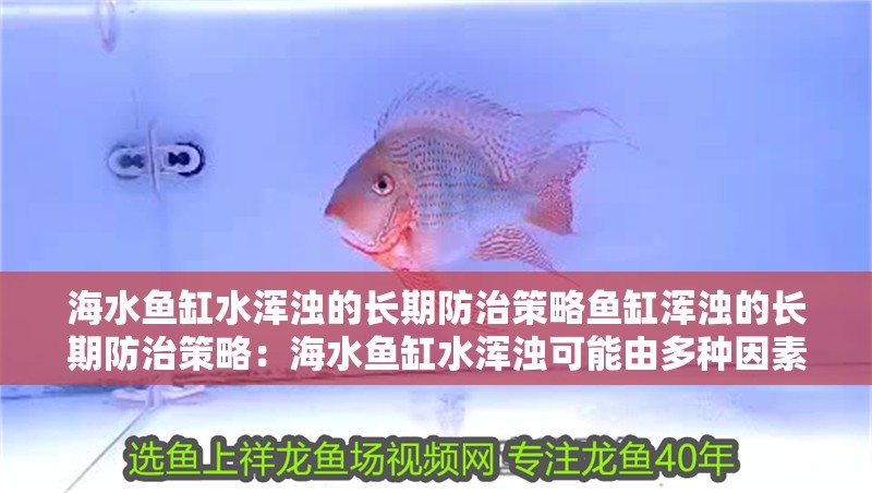 海水魚缸水渾濁的長期防治策略魚缸渾濁的長期防治策略：海水魚缸水渾濁可能由多種因素導致
