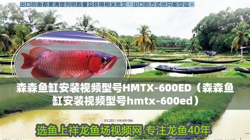 森森魚缸安裝視頻型號HMTX-600ED（森森魚缸安裝視頻型號hmtx-600ed）