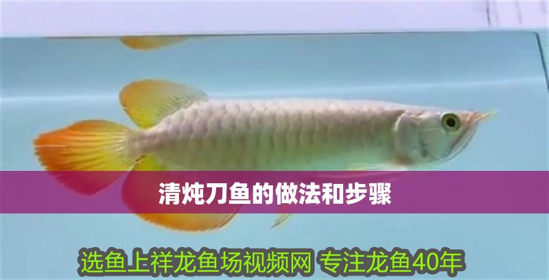 清燉刀魚的做法和步驟