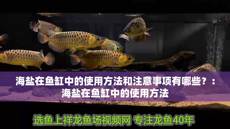 海鹽在魚缸中的使用方法和注意事項(xiàng)有哪些？：海鹽在魚缸中的使用方法