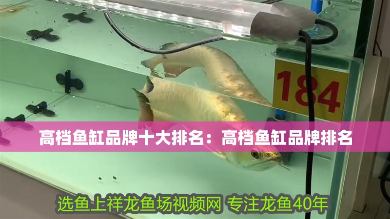 高檔魚缸品牌十大排名：高檔魚缸品牌排名 高檔魚缸品牌十大排名：高檔魚缸品牌排名 魚缸百科