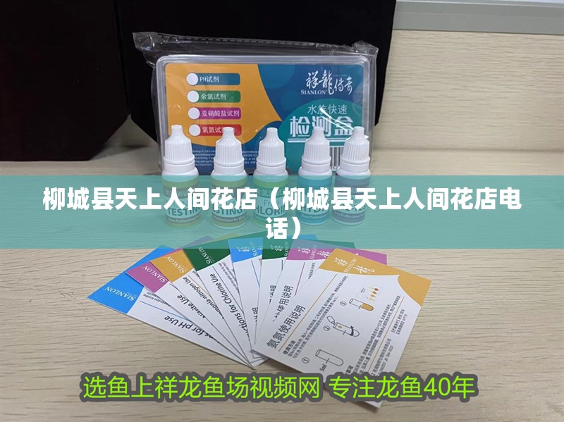 柳城縣天上人間花店（柳城縣天上人間花店電話） 柳城縣天上人間花店（柳城縣天上人間花店電話） 全國水族館企業名錄