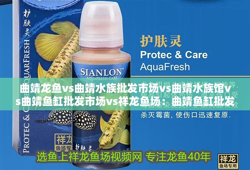 曲靖龍魚vs曲靖水族批發市場vs曲靖水族館vs曲靖魚缸批發市場vs祥龍魚場：曲靖魚缸批發市場 曲靖龍魚vs曲靖水族批發市場vs曲靖水族館vs曲靖魚缸批發市場vs祥龍魚場：曲靖魚缸批發市場 祥龍魚場各市分站 第2張