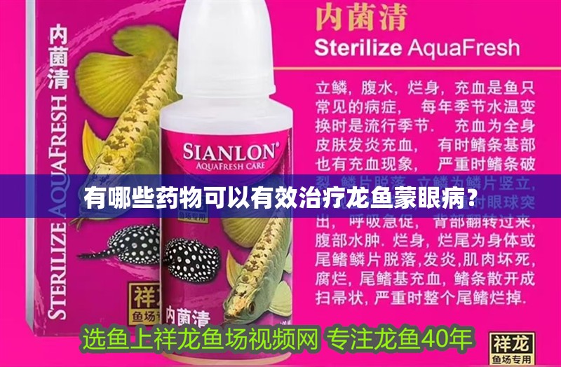 有哪些藥物可以有效治療龍魚蒙眼病？