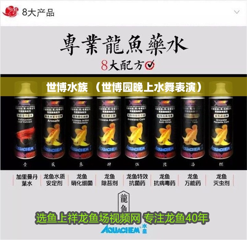 世博水族 （世博園晚上水舞表演） 世博水族 （世博園晚上水舞表演） 全國水族館企業(yè)名錄