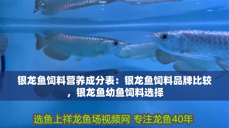 銀龍魚飼料營養成分表：銀龍魚飼料品牌比較，銀龍魚幼魚飼料選擇