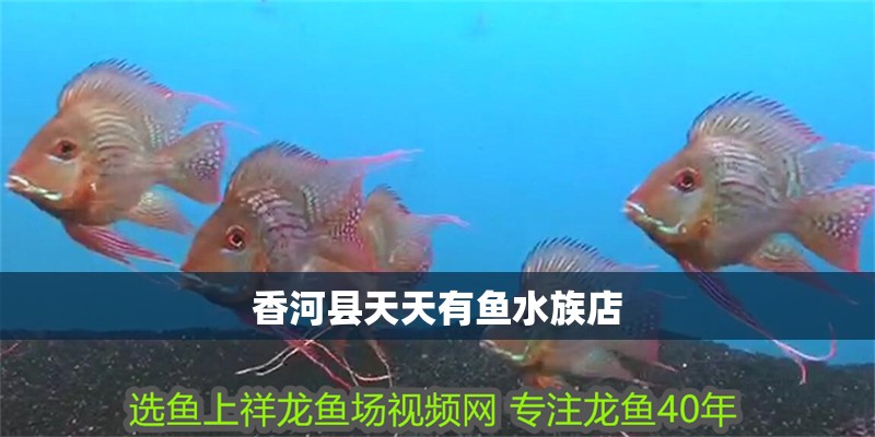 香河縣天天有魚水族店