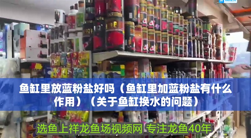 魚缸里放藍粉鹽好嗎（魚缸里加藍粉鹽有什么作用）（關于魚缸換水的問題）