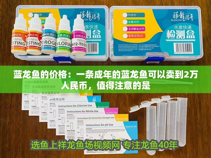 藍(lán)龍魚的價(jià)格：一條成年的藍(lán)龍魚可以賣到2萬(wàn)人民幣，值得注意的是