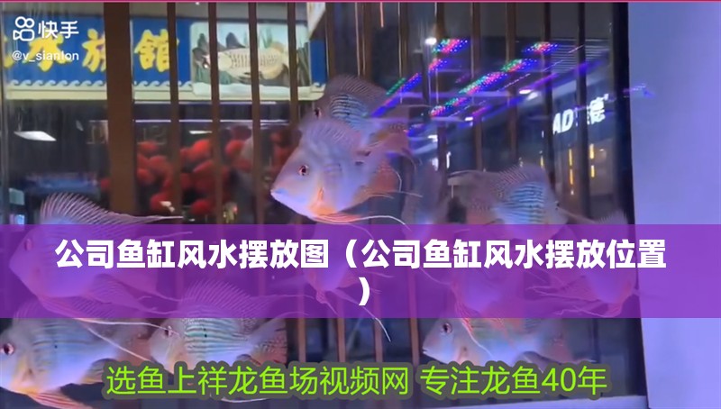 魚缸造景先放沙還是先放水(魚缸造景先鋪沙還是先放石頭) 公司魚缸風(fēng)水?dāng)[放圖(公司魚缸風(fēng)水?dāng)[放位置) 魚缸百科 公司魚缸風(fēng)水?dāng)[放圖(公司魚缸風(fēng)水?dāng)[放位置) 公司魚缸風(fēng)水?dāng)[放圖(公司魚缸風(fēng)水?dāng)[放位置) 魚缸百科